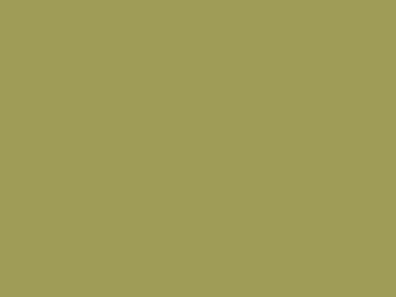 SORREL Z