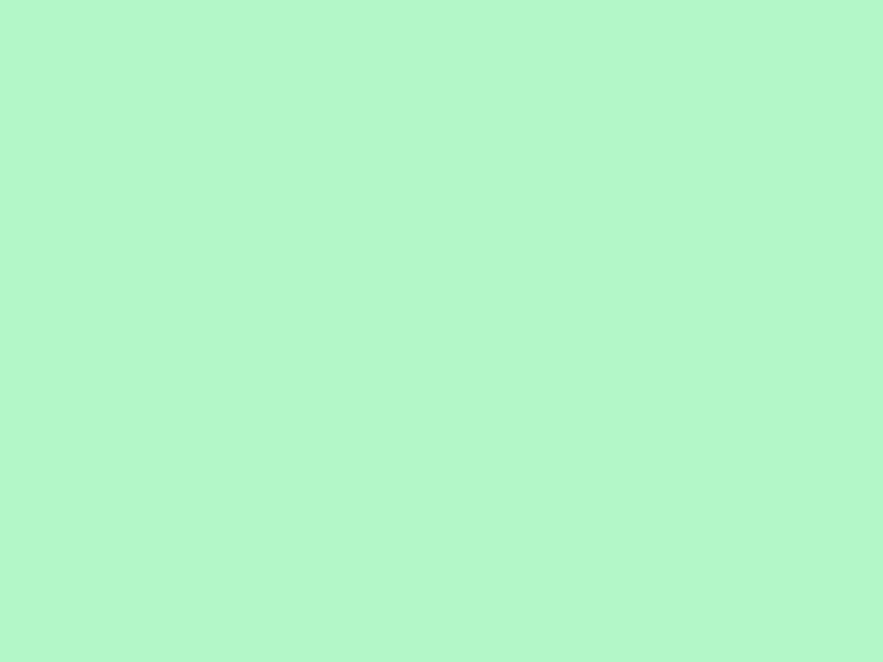 YUCCA 4