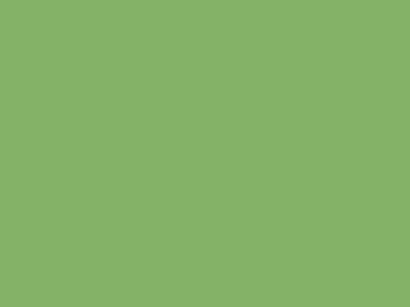 Baumit 1062