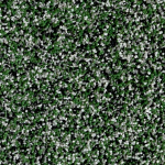 m700 (Z,Z,F,G,W)