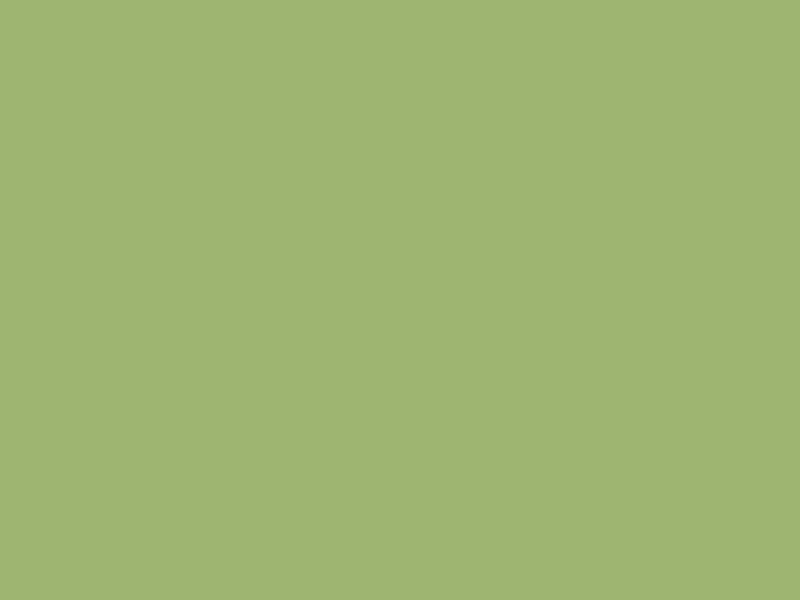 Baumit 1073