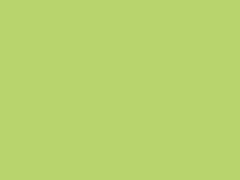 WASABI 5