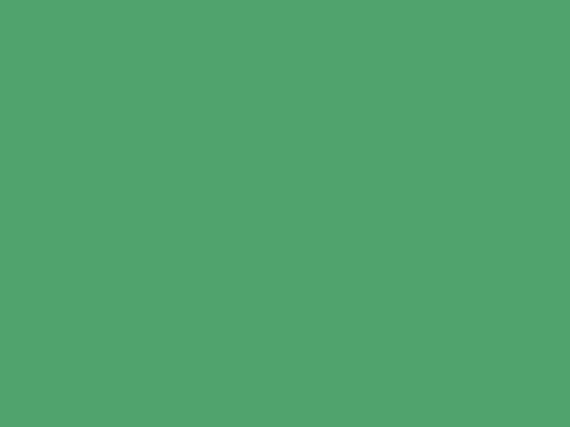 Baumit 1041