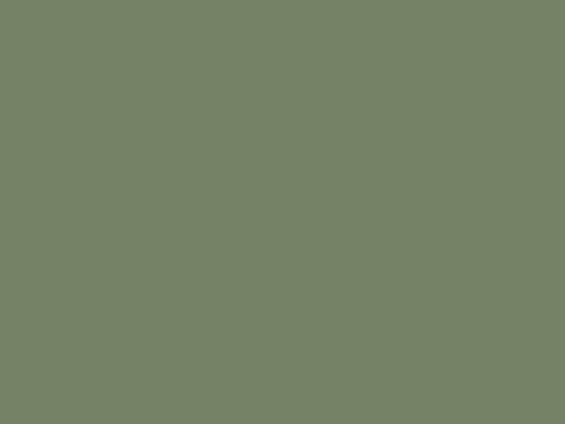 Baumit 1022