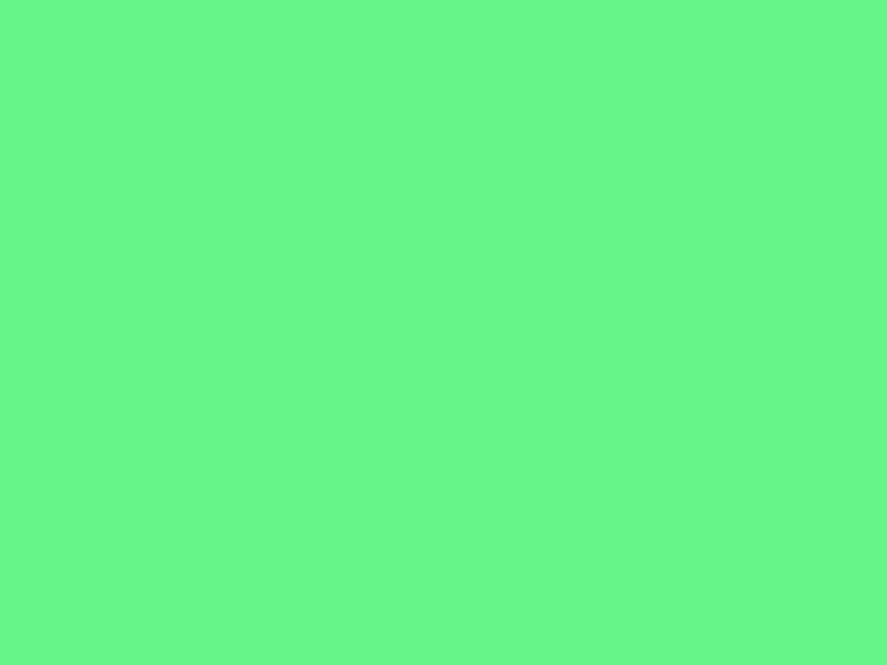 YUCCA 5