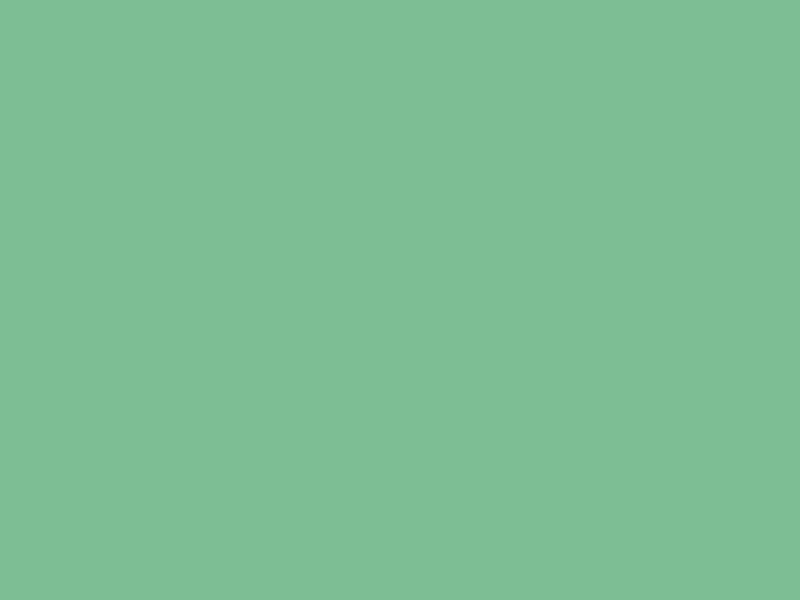 Baumit 1043