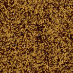 m603 (Y,Y,Y,S,S)