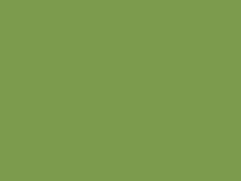 Baumit 1071