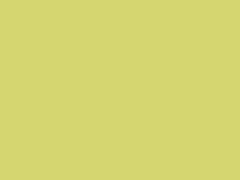 LIME E