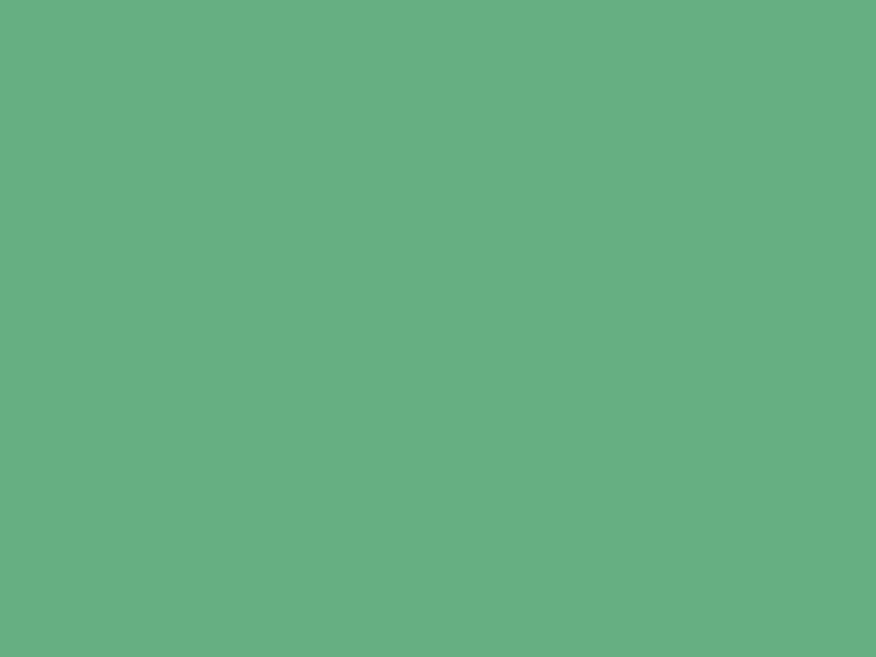 Baumit 1042
