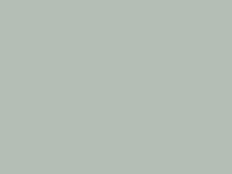 ANISE E