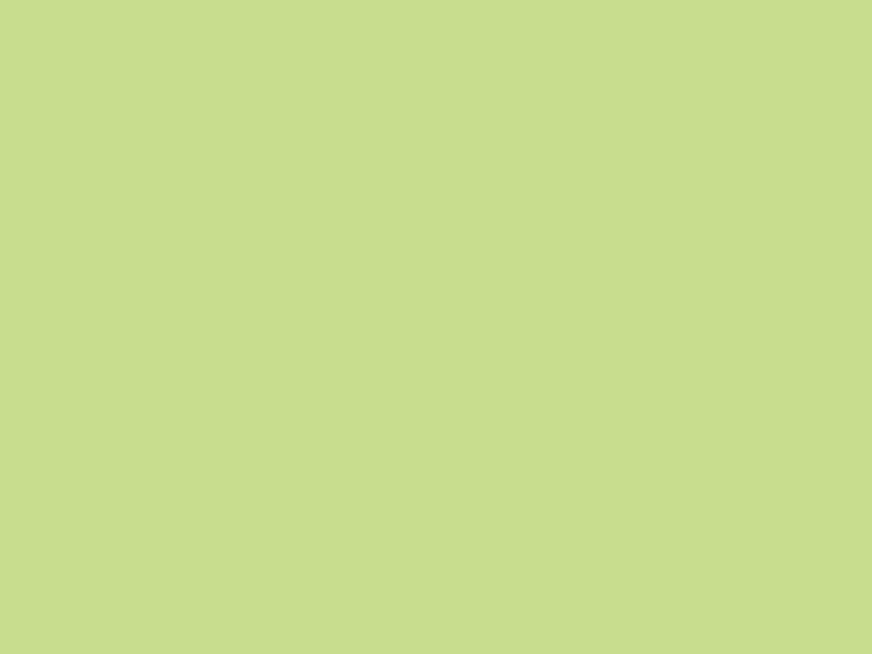 WASABI 4