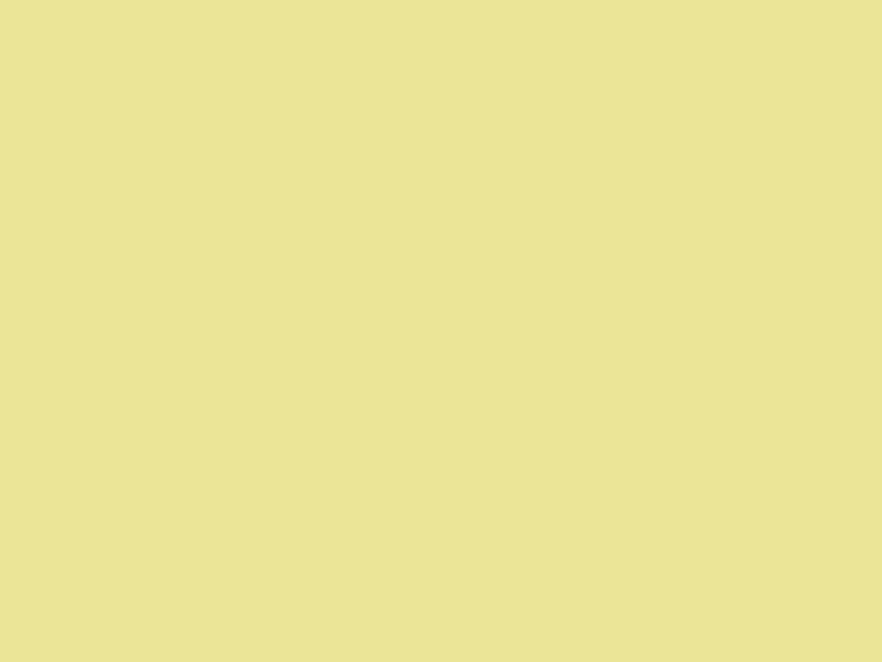 Baumit 1165