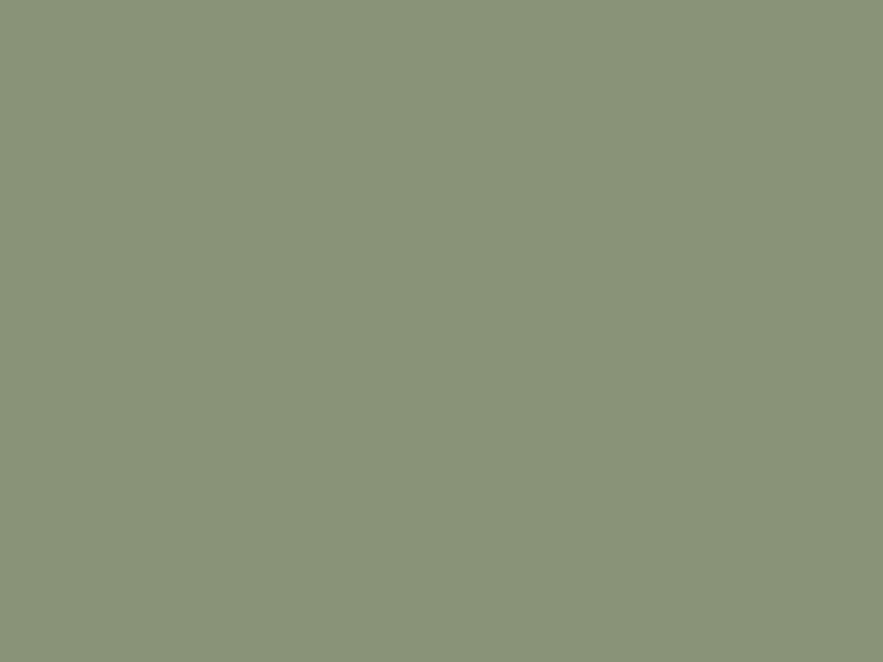 Baumit 1023
