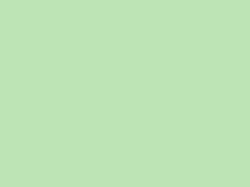 Baumit 1055