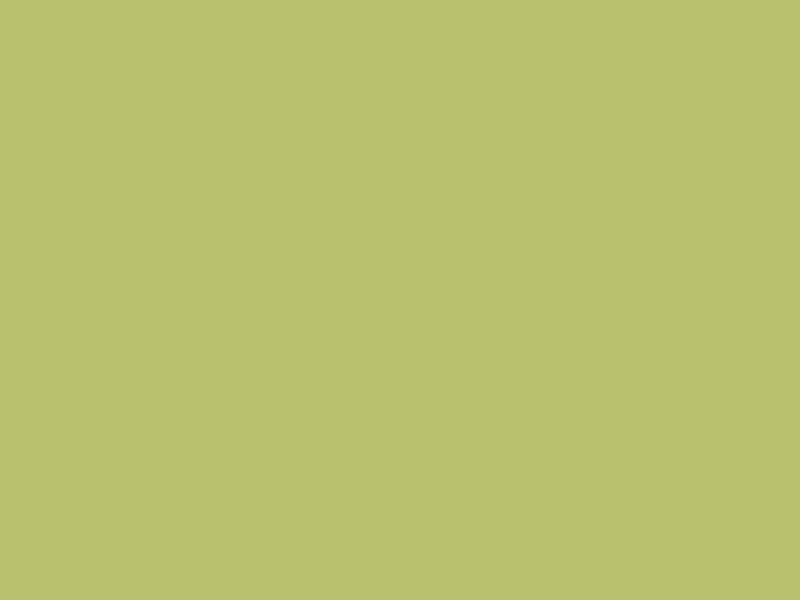 Baumit 1143