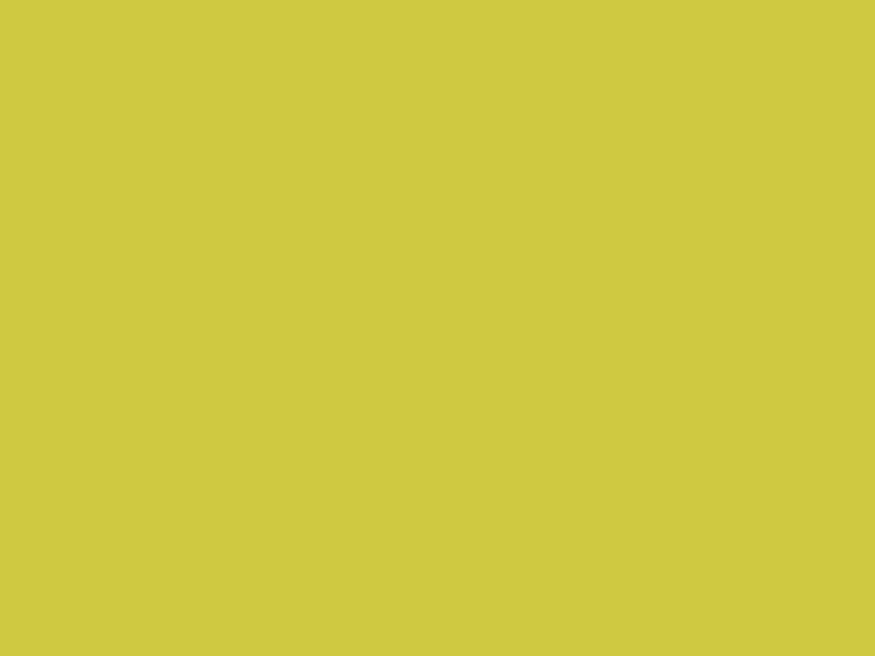 Baumit 1151