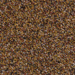 M 316 Kosh