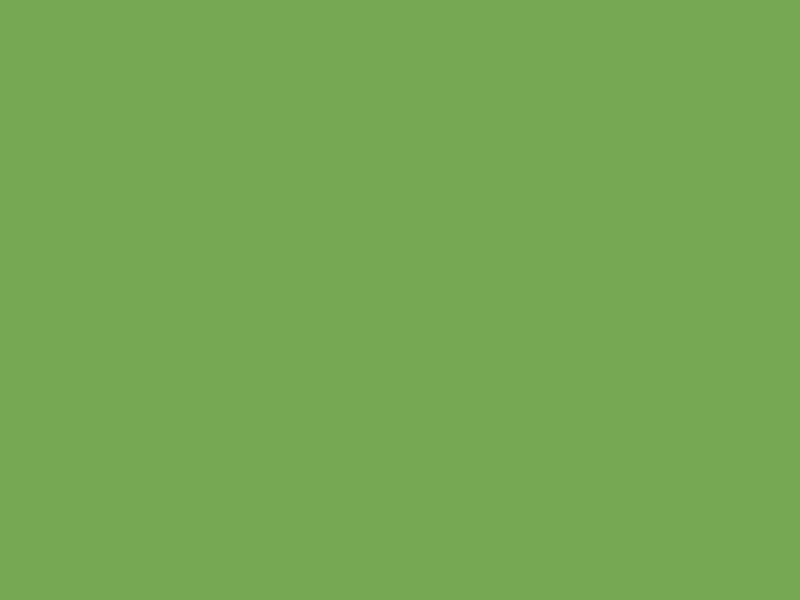 Baumit 1061
