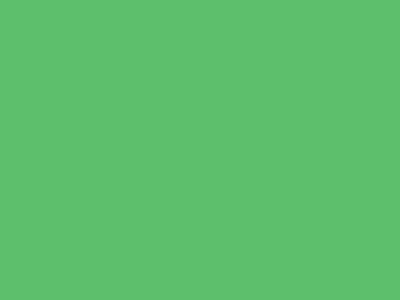Baumit 1051